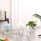 Square Glass Vases Set of 6, 4" x 4" x 4" Square Flower Vases for Centerpieces, Clear Vase for Flowers, Small Vase for Wedding, Party, Home Office Decoration