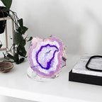 Hipiwe Acrylic Display Easel Rock Display Stand Three-Peg Display Easel Stands for Mineral Crystal Geodes Coral Fossil Small Collectibles Display Stands with Round Base,4 Pack
