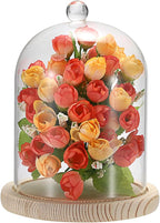 JUXYES Glass Display Dome Cloche with Wood Base, Clear Glass Dome Cloche Bell Sphere Jar Snow Globe Kit, Snowglobe Cloche Bell Jar Display for Fairy Light Plant Collectible Figures