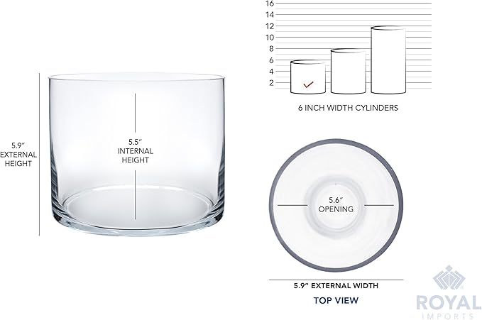 Royal Imports Flower Glass Vase Decorative Centerpiece for Home or Wedding - Cylinder Shape, 6" Tall, 6" Opening, Clear