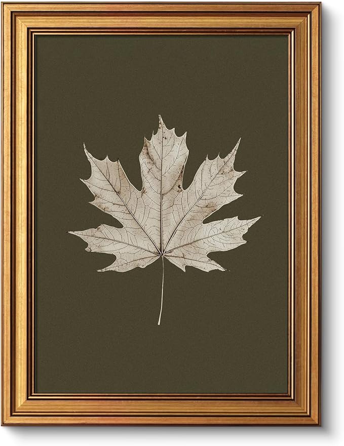 VIYYIEA Vintage Gold Framed Wall Art for Living Room, Maple Leaf Canvas Prints Home Decor, Oil Painting Picture, Bedroom Wall Decor Gifts for Friends or Family -【Maple Leaf Specimen】-(16L x 12W)
