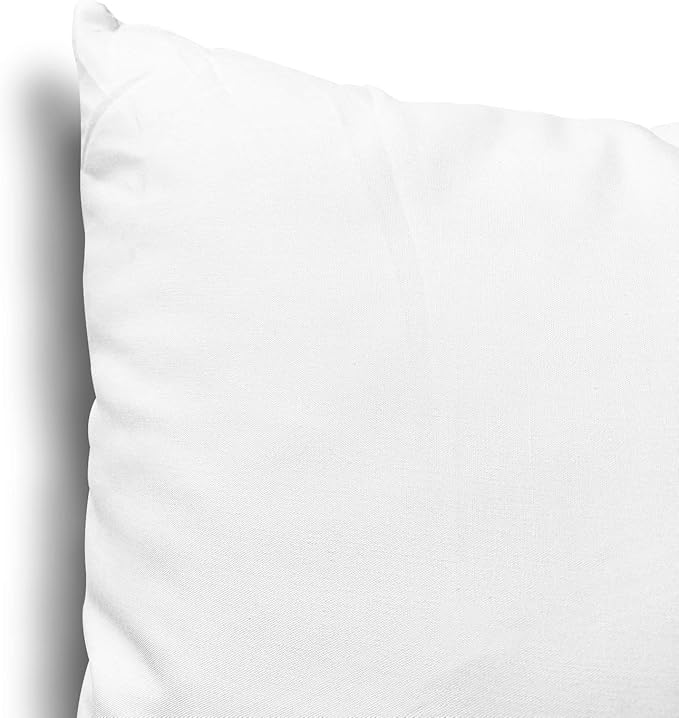 Edow Throw Pillow Insert, Lightweight Soft Polyester Down Alternative Decorative Pillow, Sham Stuffer, Machine Washable 22x22 (White, 1 Count (Pack of 1))