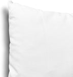 EDOW Throw Pillow Insert, Lightweight Soft Polyester Down Alternative Decorative Pillow, Sham Stuffer, Machine Washable. (White, 28x28)