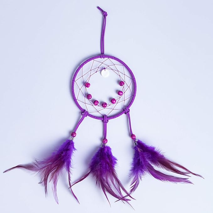 DIY Dream Catcher Beginner Kit, Making Dream Catcher Supplies Include Metal Hoop, Feathers, Faux Suede Cord, Thread, Wood Beads (Violet)