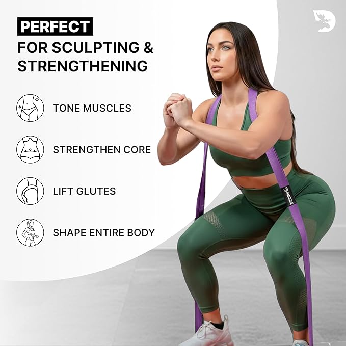 DMoose Fitness Fabric Resistance Bands for Full Body Exercises - Non-Slip Thick Cloth Stretch Band for Squats, Lunges & Bicep Curls - Long Resistance Bands for Working Out - Booty Band for Men & Women