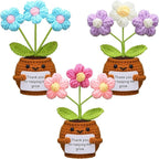 Wavwavw 3 Pack Teacher Appreciation Gift Positive Flower Handmade Crochet Doll Thank You for Helping Me Grow Gifts Back to School Gifts for Women Teacher(Puff Flower)