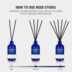 Xcleen Reed Diffuser Set for Home| 3.7 Oz(110ml) Hawaiian Holiday Fragrance Diffuser | with Mangoes, Pineapples, Peaches & Melons Scented Oil Sticks Diffuser, Air Fresheners for Home, Bathroom