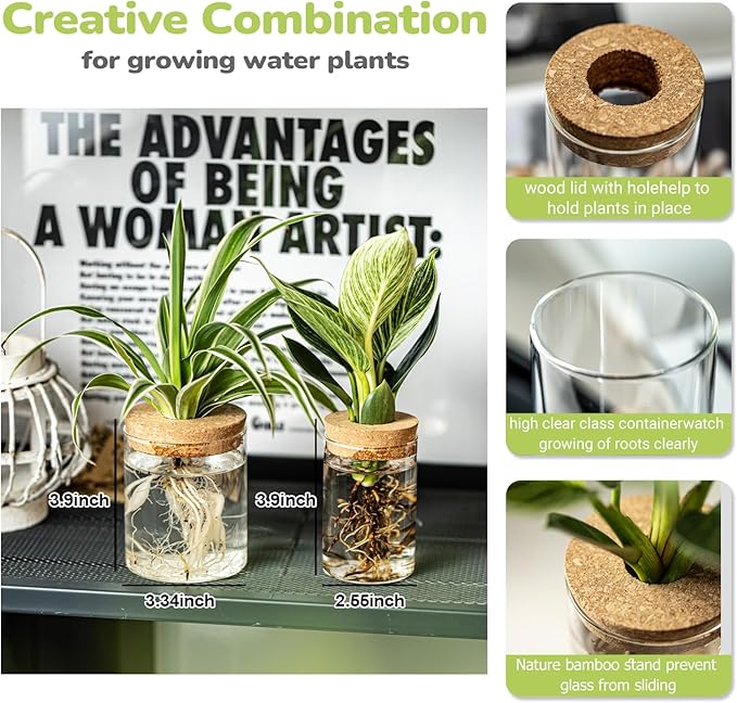 Glass Propagation Stations for Plants -Desktop Flower Vases,Propagation Flower Vases Set – 2 Large & 2 Small for Plant Cuttings，for Living Room, Bedroom Decoration,Home,Office Decor (4)
