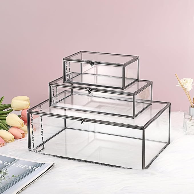 Hipiwe Vintage Glass Box with Lid - Rectangle Jewelry Display Organizer Box Black Vanity Lidded Box Home Decor Accent Decorative Box for Keepsakes Trinket Rings,X-Large