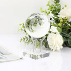 Hipiwe Metal Arm Display Stand Easel with Acrylic Base Decorative Crystal Ball Stand for Sphere Mineral Geodes Rock Fossils Seashell, Large
