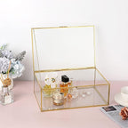Hipiwe Vintage Glass Keepsake Box - Rectangle Jewelry Display Organizer, Vanity Lidded Home Decor Accent for Storage Trinket Rings Bracelet Rock - X-Large