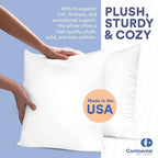 Continental Bedding Throw Pillow Inserts - 22x22, Set of 2, 80% White Goose Down & 20% Feather Fill - Soft Decorative Euro Pillows for Couch, Bed, Sofa & Living Room - Luxurious Comfort & Support