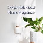 Aera Mini Home Fragrance Diffuser and Mini Beach House Scent Refill Bundle - for Rooms 100-500 Sq Ft - Alexa Compatible, Hypoallergenic, Family and Pet Safe, App Controlled