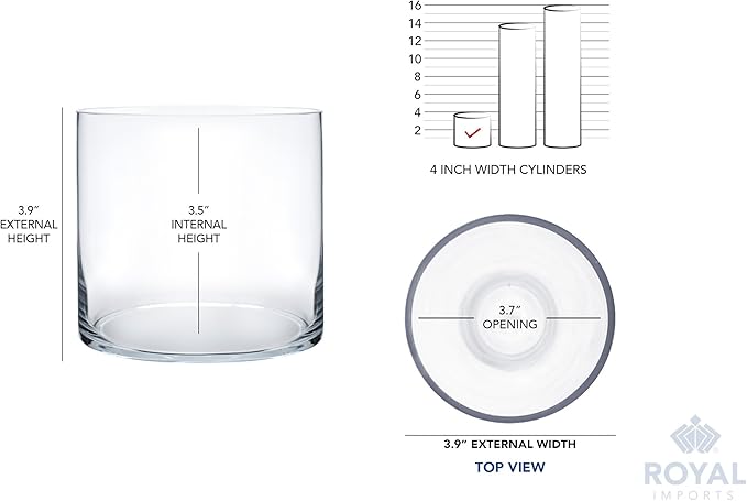 Royal Imports Flower Glass Vase Decorative Centerpiece for Home or Wedding - Cylinder Shape (4" Wide x 4" Tall, Clear)