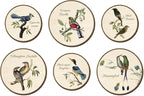 TOARTi 6pcs Vintage Bird Wall Art Set(9.9”x3/7.9”x3) Round Bird Botanical Wooden Plaques Rustic Bird Plant Round Wall Hanging Farmhouse Birds Wall Decor for Home Bedroom Living Room Bird Lover Gift