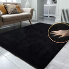 Black Fluffy Living Room Furry Rugs for Living Room Washable Shaggy Area Rugs for Bedroom 4x6 Rug for Nursery Decor