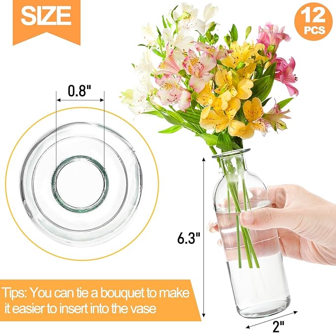 Peohud Set of 12 Glass Bud Vases, Clear Small Flower Vases, Decorative Glass Bottles Floral Vases for Home Decor, Wedding Reception, Party