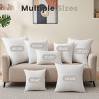 QUIETSEA 26x26 Pillow Inserts, 2 Pack Down Alternative Euro Pillow Inserts, Fluffy Soft Square Decorative Pillows for Bed, Couch and Sofa