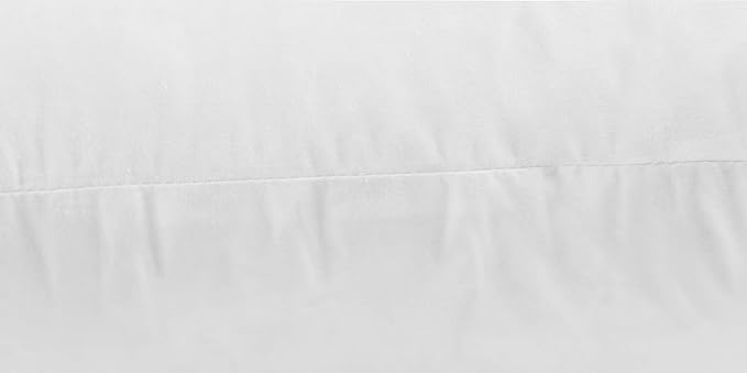 JA COMFORTS 22×22 Premium Goose Down Feather Throw Pillow Inserts(Set of 2)-5% Down Filling,High Filling Weight,250 TC Cotton Cover, Square, White