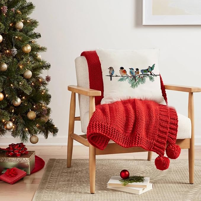 RABUSOFA Christmas Pillow Covers 20x20 Inch Birds Winter Decorations Christmas Throw Pillow Cases Xmas Outdoor Birds Decor Decorative Pillows for Couch Holiday Teal