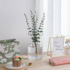 5’ Wide 8" High Large Hand Blown Sturdy Clear Cylinder Glass Vase, Centerpiece Flower Vase for Rose, Tulip, Boquets, Hurricane Candle Holder (1, 5"x8")