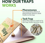 Greenway Clothing Moth Traps with Powerful Pheromone Lures for Effective, Odor-Free Closet Protection, Non-Toxic, Eco-Friendly & Long-Lasting Solution, 1 Packs (Includes 2 Traps & 2 Lures)