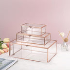 Hipiwe Glass Keepsakes Display Box Jewelry Organizer Box with Lid Decorative Glass Box Clear Rectangle Storage Box for Trinket Perfume Collection Gift for Birthday Anniversaries,Rose Gold Large