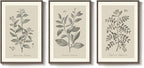 Framed Vintage Botanical Wall Art, 3 Piece Neutral Floral Plants Canvas Painting Prints Artwork for Living Room, Rustic Flowers Pictures for Farmhouse Bedroom Kitchen Dining Room Home Decor, 16x24 In
