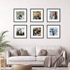 Rempry 12x12 Picture Frame, Display Pictures 8x8 with Mat or 12x12 Without Mat, Wall Hanging or Tabletop Photo Frame with Shatter Resistant Plexiglass, Black, 1 Pack