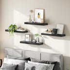 HOOBRO Floating Shelves for Wall, Wall Mounted Shelf Set of 2, 23.6" Hanging Shelf with Invisible Brackets, for Wall Decor Storage in Bathroom Bedroom Kitchen Living Room Office, Black BK60BJ01