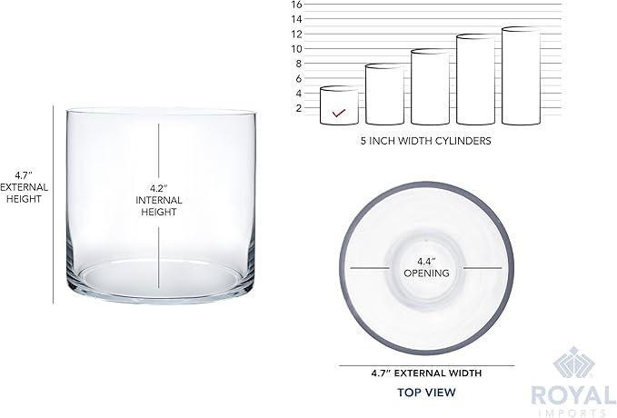 Royal Imports Flower Glass Vase Decorative Centerpiece for Home or Wedding - Cylinder Shape, 5"x5", Clear