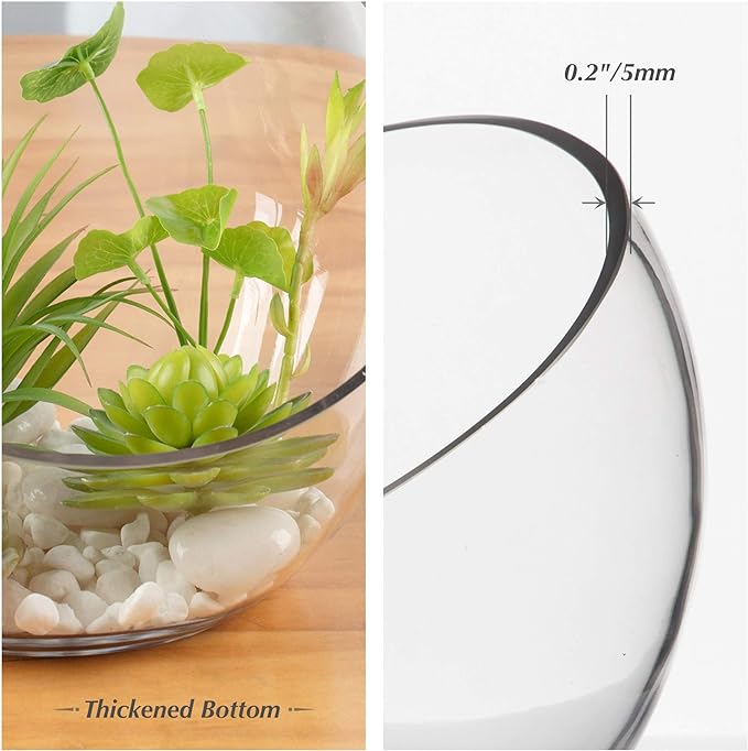 WGVI Clear Slant Cut Bowl Glass Vase, Glass Terrarium, Candy Dish, Glassware, Slant Open: 7". Height: 6" x 2.7". Base: 4" (1 Piece)