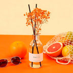 Clesh Reed Diffuser Set, 6.7 oz Citrus Scented Diffuser with Sticks, Home Fragrance Reed Diffuser for Bathroom Shelf Decor