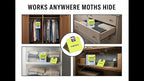 Clothes Moth Traps – 11 Pack | Extra Strength Pheromone Sticky Traps for Clothes, Closets, Wardrobes & Carpet | Case-Making & Webbing Moths | Non-Toxic, Foldable, Family-Safe
