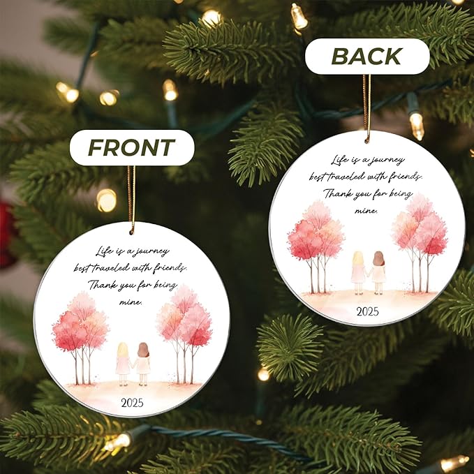 Friendship Ornament 2025, for Women, Birthday Gift for Best Friend, Friend Ornaments for Women, Gift for Friends, Friend Ornament