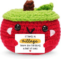 HEXMOZ End of Year Teachers Gifts - Apple Gift for Teachers - Daycare Teacher Appreciation Gifts - It Takes a Village Handmade Collectible Crochet Plush Doll