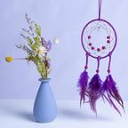 DIY Dream Catcher Beginner Kit, Making Dream Catcher Supplies Include Metal Hoop, Feathers, Faux Suede Cord, Thread, Wood Beads (Violet)