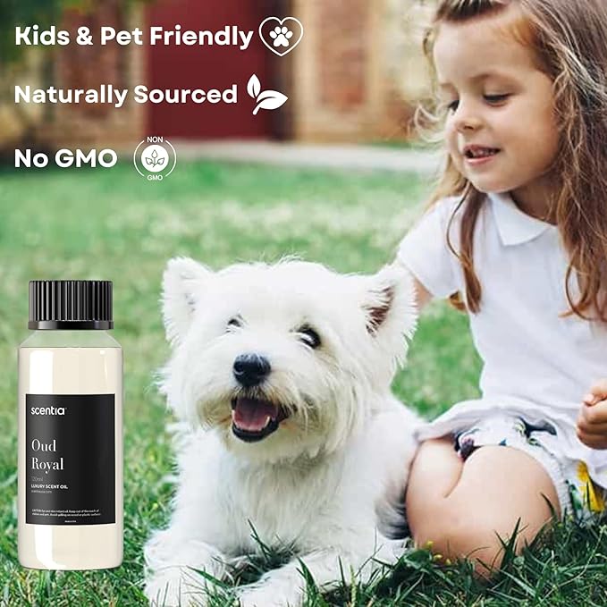 Scentia Oud Royal Hotel Diffuser Oil 120 ml | Oud Royal for Scent Diffuser | Thanksgiving & Holiday Gift Luxurious Aroma, Niche Scent, Cardamom, Rosewood & Oud | Aromatherapy Fragrance