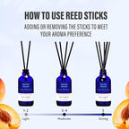 Xcleen Reed Diffuser Set, Velvet Peach Scent Fragrance Oil Diffuser, Reed Diffusers for Home, Bathroom Air Fresheners & Decor