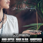 Blunteffects Hand-Dipped Incense Sticks - Premium 180-Pack Variety Set, 15 Different Scents, 11" Long, USA-Made Aromatherapy with Long Burn Time (15 Pack, 180 Total Sticks)