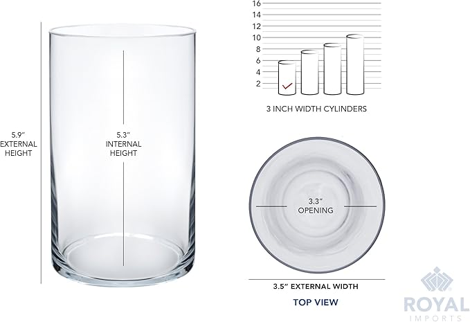 Royal Imports Flower Glass Vase Decorative Centerpiece for Home or Wedding - Cylinder Shape, 6" Tall, 3.5" Opening, Clear