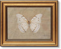 VIYYIEA Vintage Gold Framed Wall Art for Living Room, White Butterfly Canvas Prints Home Decor, Oil Painting Picture, Bedroom Wall Decor Gifts for Friends or Family -【Morpho polyphemus】-(10L x 8W)