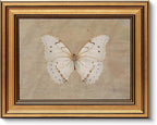 VIYYIEA Vintage Gold Framed Wall Art for Living Room, White Butterfly Canvas Prints Home Decor, Oil Painting Picture, Bedroom Wall Decor Gifts for Friends or Family -【Morpho polyphemus】-(10L x 8W)