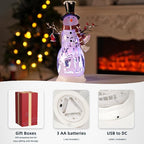 Large Snowman Christmas Snow Globe with Cardinals - Rotating Internal Scene with Swirling Glitter & Colorful Lights, 6H-Timer, Battery/USB Powered, Holiday Christmas Decoration(Snowman Cardinals)