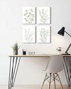 Drsoum Botanical Plant Framed Wall Art Boho Wall Decor for Bathroom Sage Green Eucalyptus Leaf Prints Minimalist Aesthetic Ready to Hang Set of 4, 12x16 in (Framed)