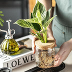 Glass Propagation Stations for Plants -Desktop Flower Vases,Propagation Flower Vases Set – 2 Large & 2 Small for Plant Cuttings，for Living Room, Bedroom Decoration,Home,Office Decor (4)