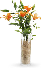 WGVI Quality Thick Weighted Clear Cylinder Glass Vases, 4" W x 12" H, Flower Arrangement Floating Candle Holders Wedding Centerpieces Terrarium Planter Floral Storage Container, Bulk Wholesale, 6 Pcs