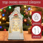Owl Christmas Snow Globe Lantern with 8 Music Songs & 6H Timer Water Snow Globe Lantern USB & Battery Operated for Christmas Festival Decorations Gifts (Owl)
