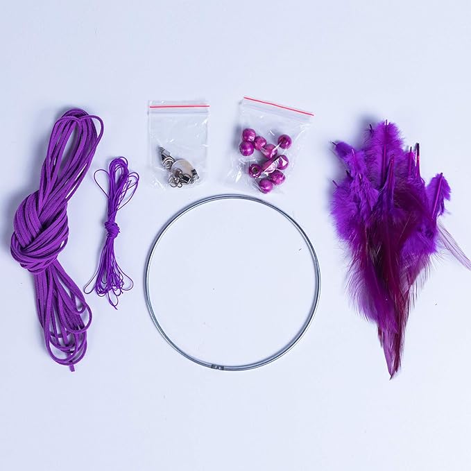 DIY Dream Catcher Beginner Kit, Making Dream Catcher Supplies Include Metal Hoop, Feathers, Faux Suede Cord, Thread, Wood Beads (Violet)