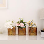 Square Vases Set of 6, 5" x 5" x 5" Square Glass Vases for Flowers, Amber Flower Vase for Centerpieces, Small Bubble Vase for Wedding, Party, Home, Office, Parties, Events